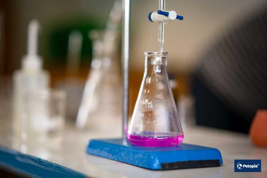 kuduz-titrasyon-testi-sureci