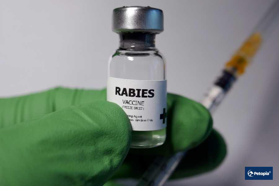 kuduz-titrasyon-testi-ucreti