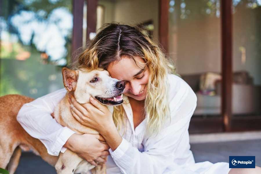 umraniye-evcil-hayvan-kisirlastirma