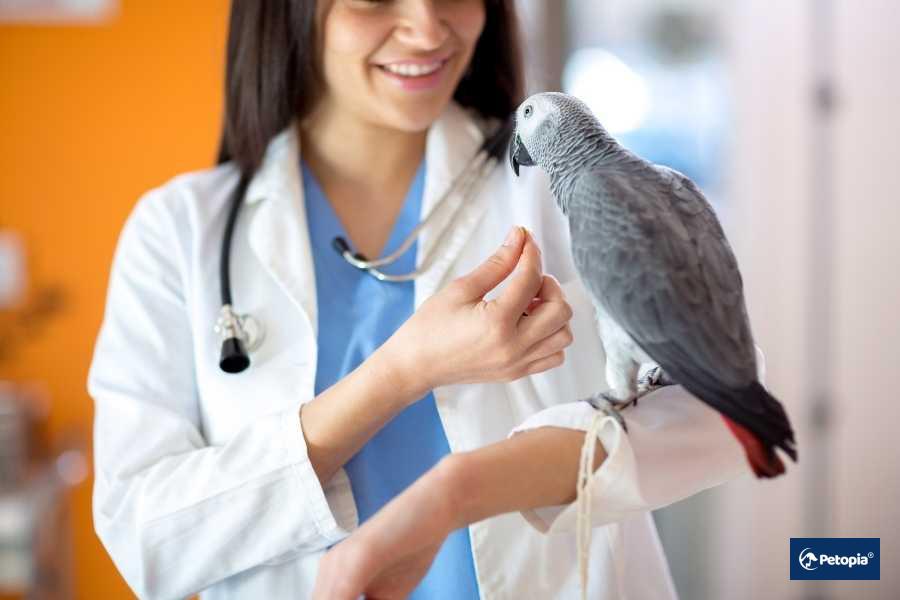 umraniye-koruyucu-veterinerlik