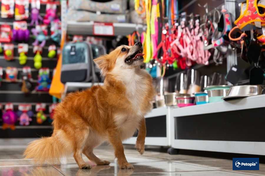 umraniye-pet-shop
