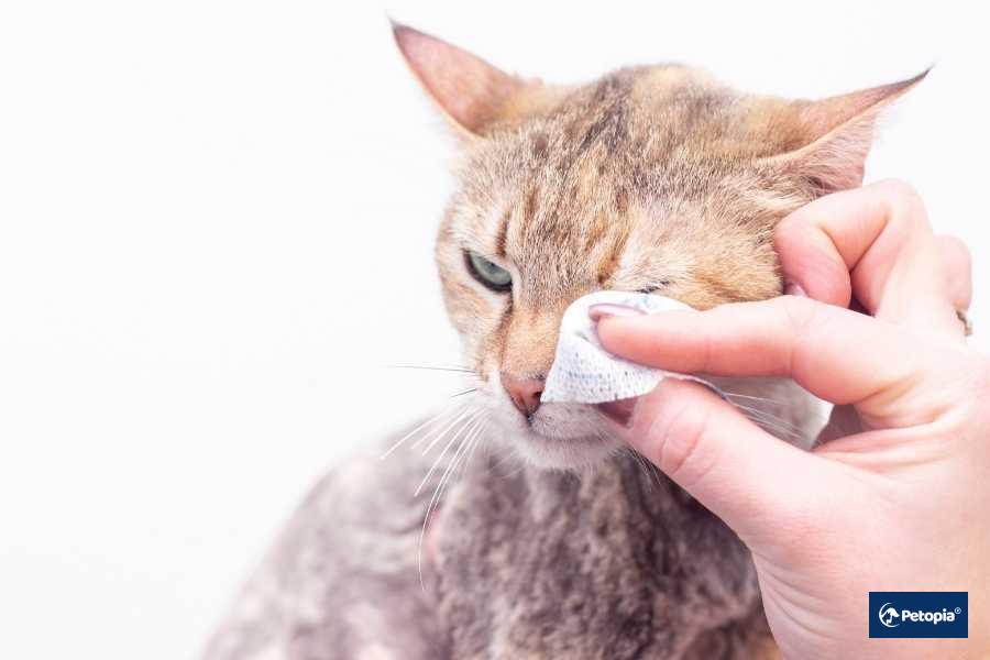 kıedilerde-goz-akintisi-ve-sebepleri