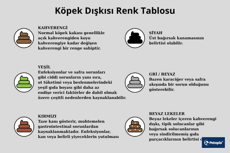 kopek-dıskısı-renk-tablosu