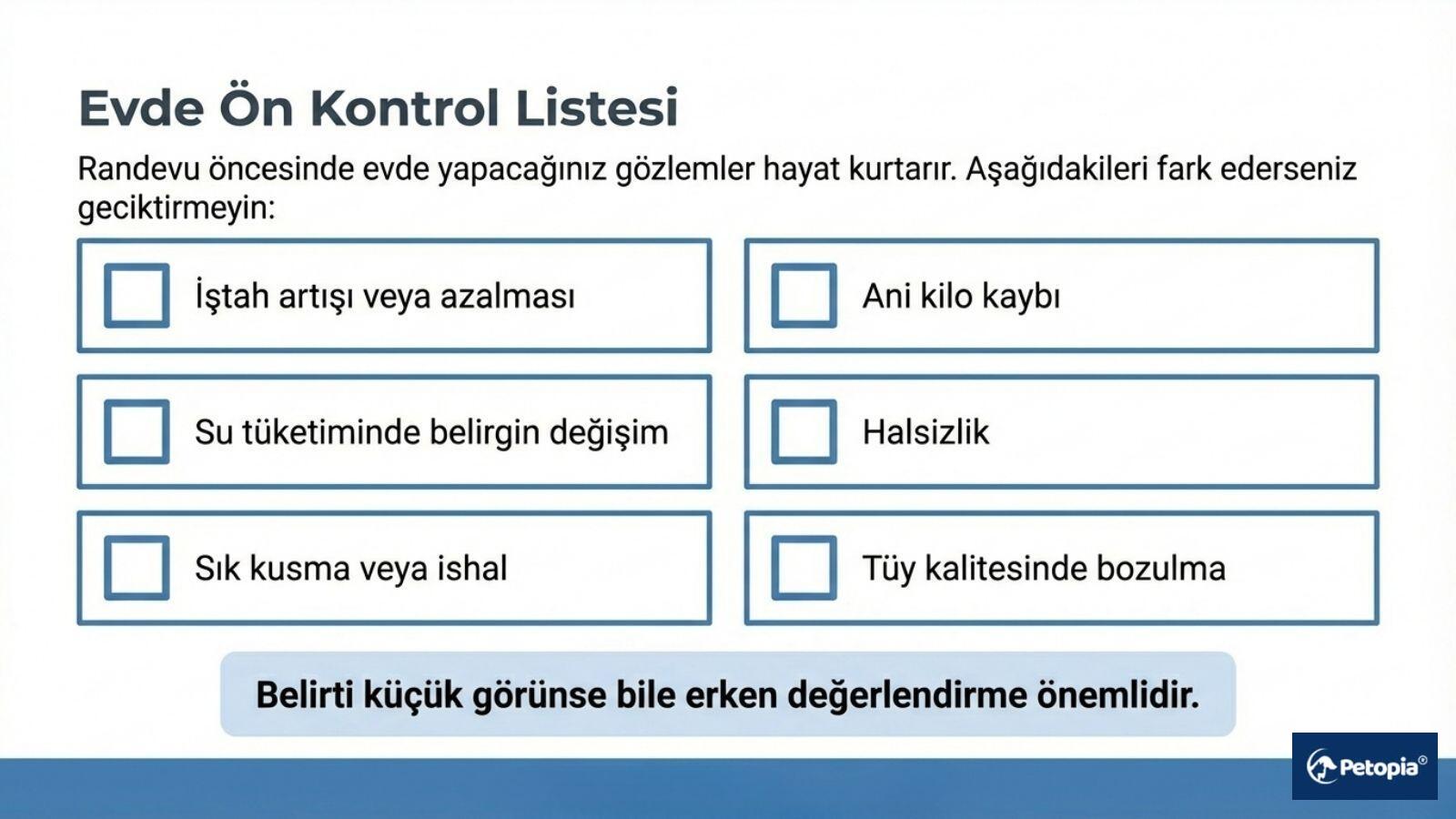 check-up-evde-on-kontrol-listesi
