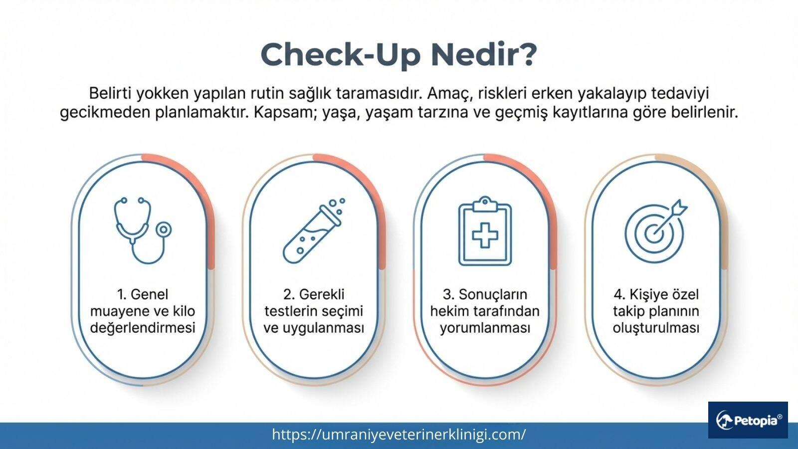 check-up-nedir