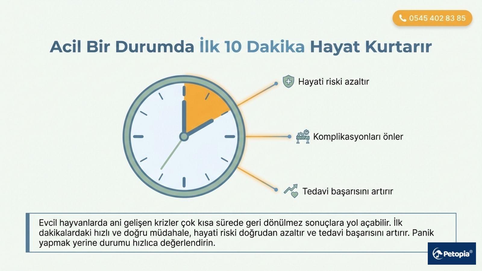 evcil-hayvanlarda-acil-durumda-neler-yapilmali
