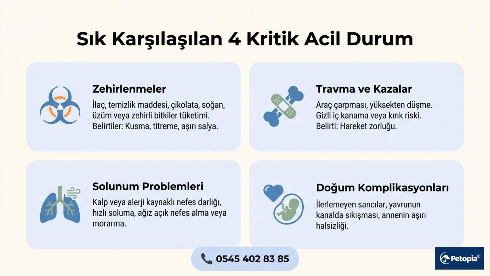 evcil-hayvanlarda-sik-gorulen-acil-durumlar