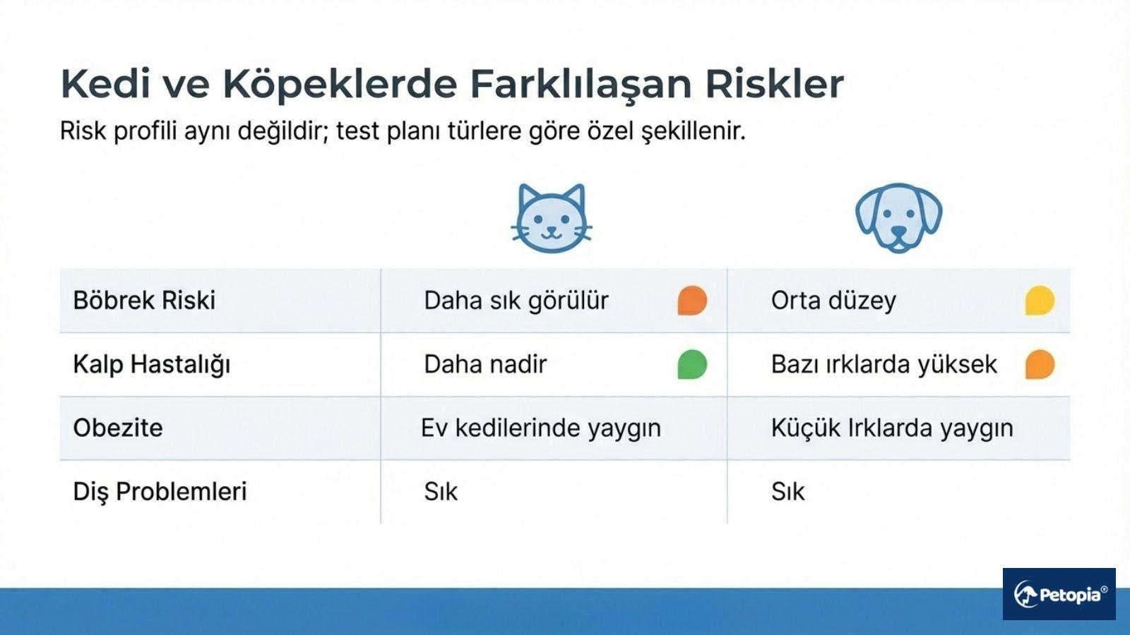 kedi-ve-kopeklerde-farklilasan-hastalik-riskleri