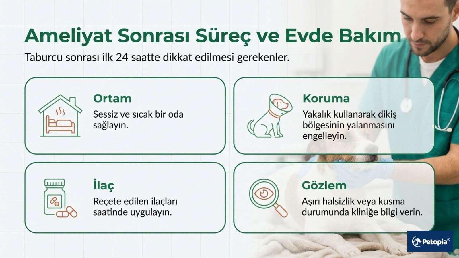 kisirlastirma-sonrası-evde-bakim