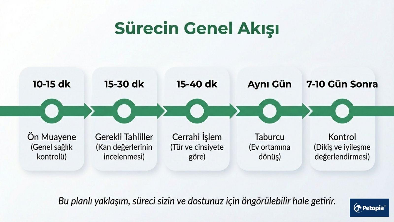 kisirlastirma-sureci-nasildir