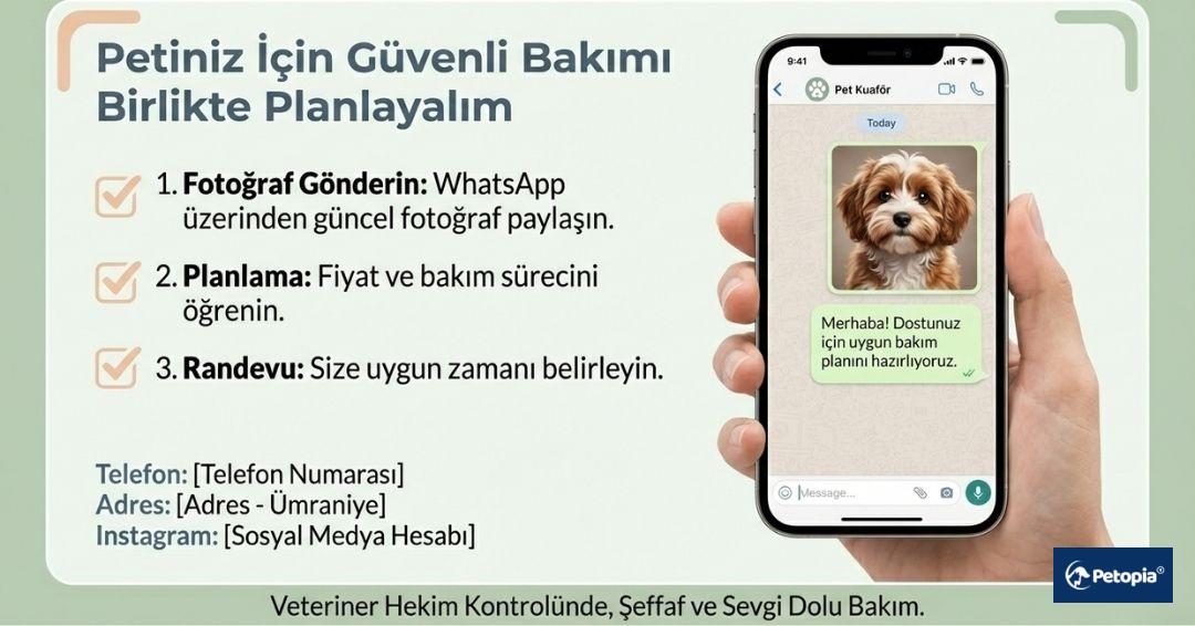 pet-kuafor-hizmeti-icin-hemen-randevu