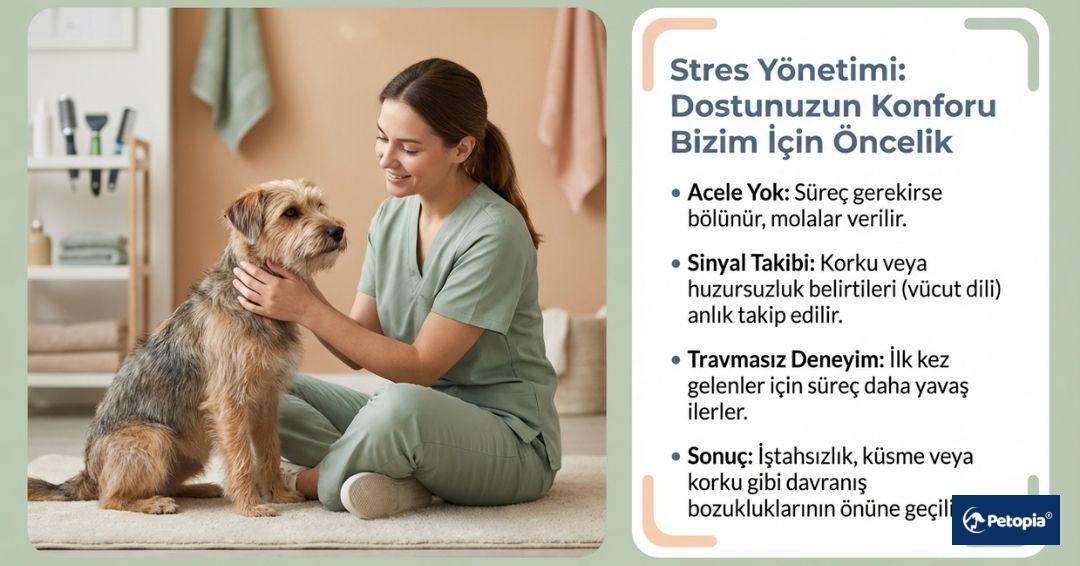 pet-kuafor-hizmeti-ve-strwes-yonetimi