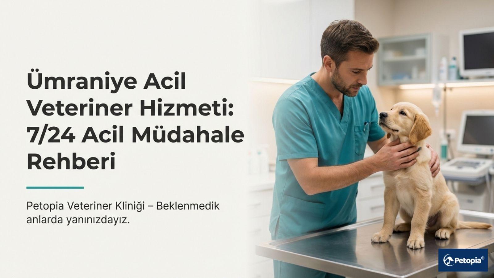 umraniye-acil-veteriner-hizmeti-7-24-acil-mudahale