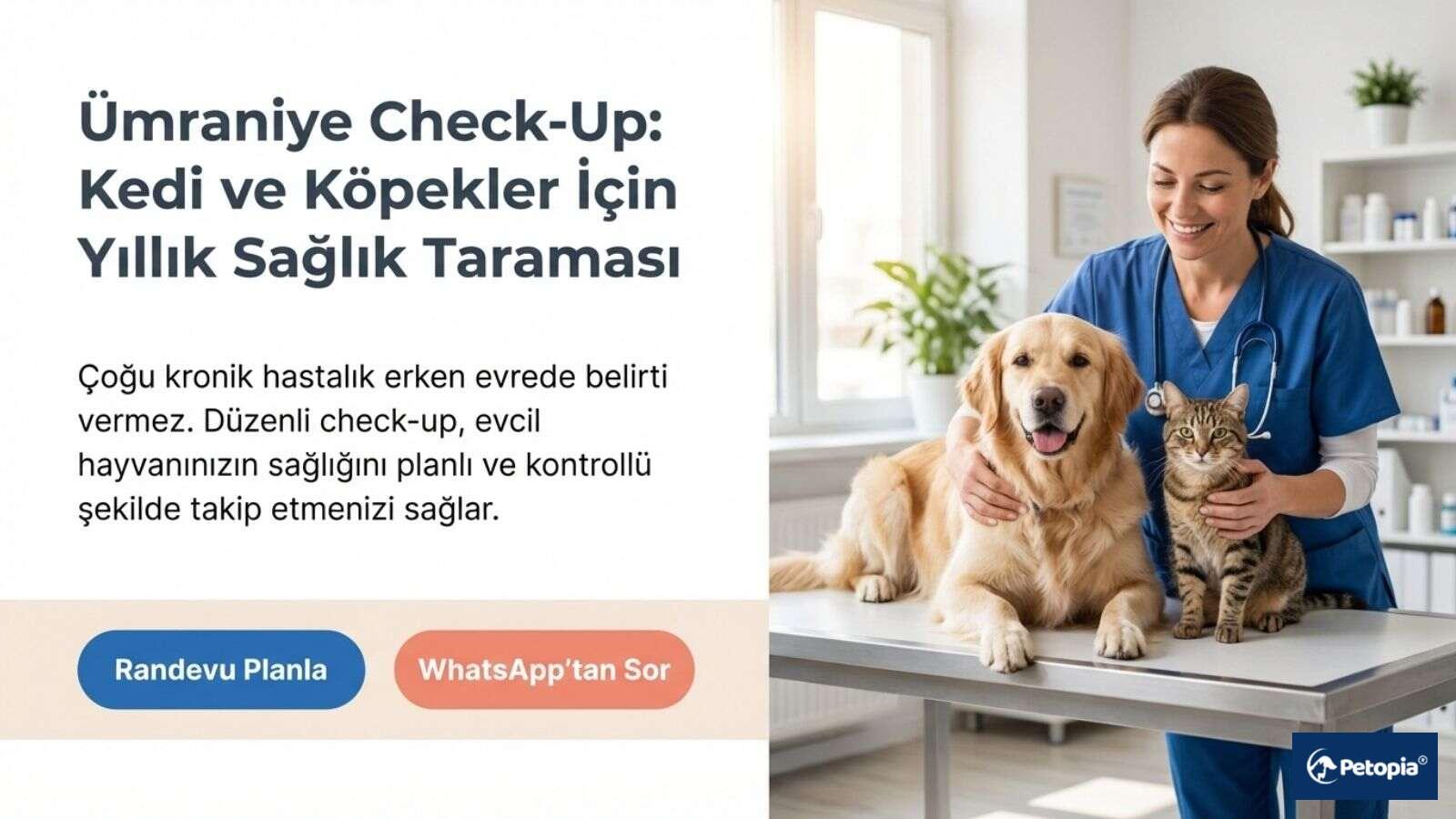 umraniye-check-up-kedi-ve-kopeklerde-yillik-saglik-taramasi