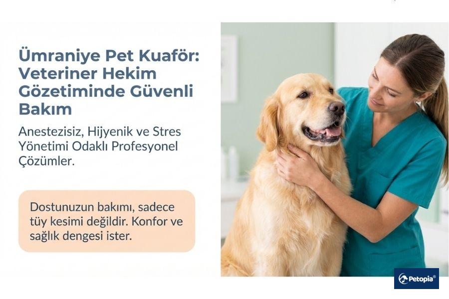 umraniye-pet-kuafor-hizmeti