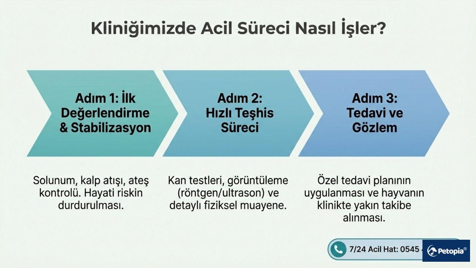 umraniye-veteriner-kliniginde-acil-mudahale-sureci