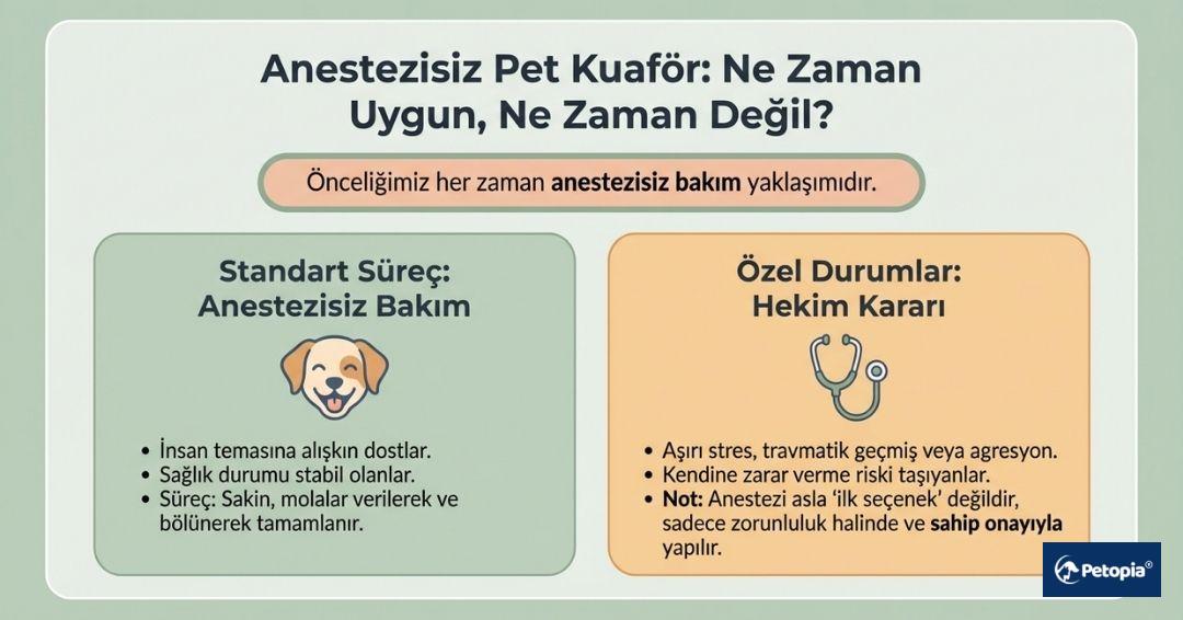 umraniyede-anestezisiz-pet-kuafor