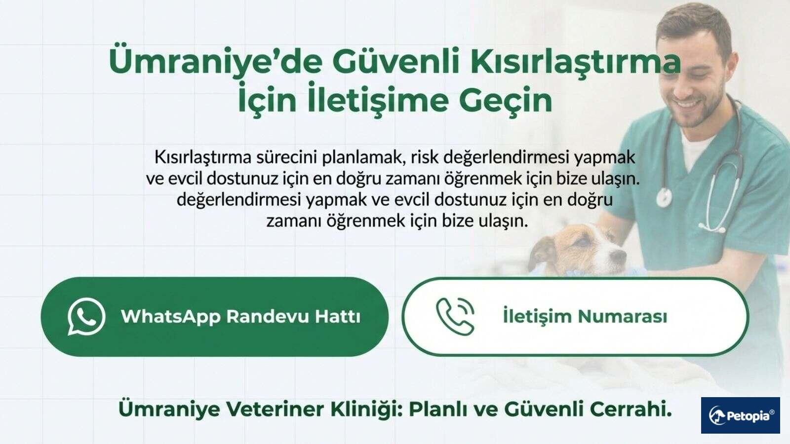 umraniyede-guvenli-kisirlastirma-hizmeti