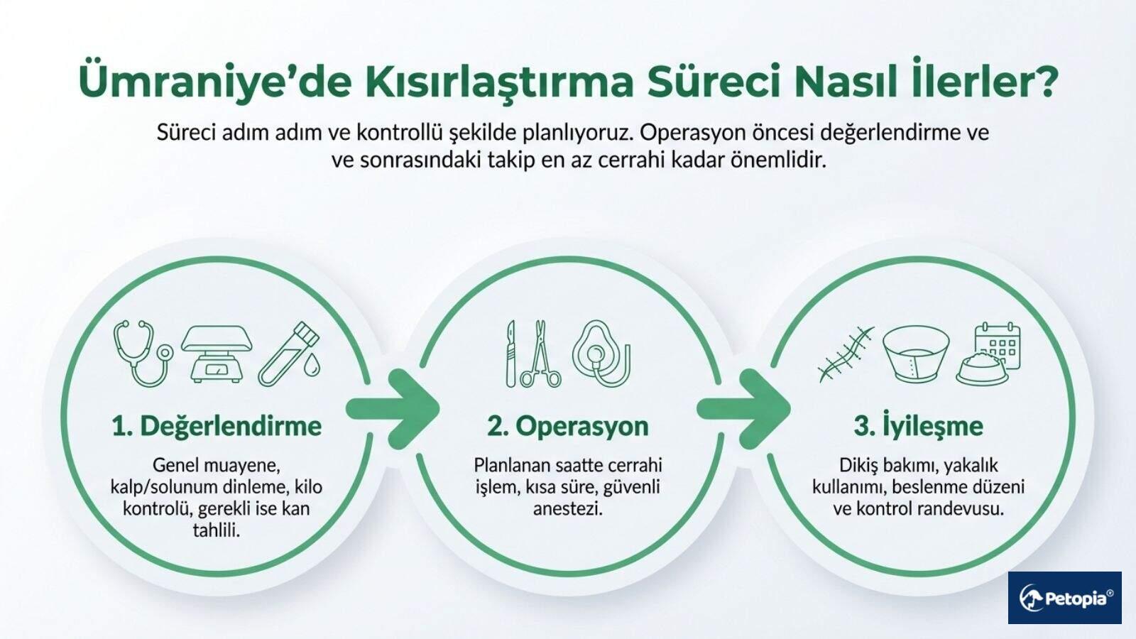 umraniyede-kisirlastirma-sureci-nasil-ilerler