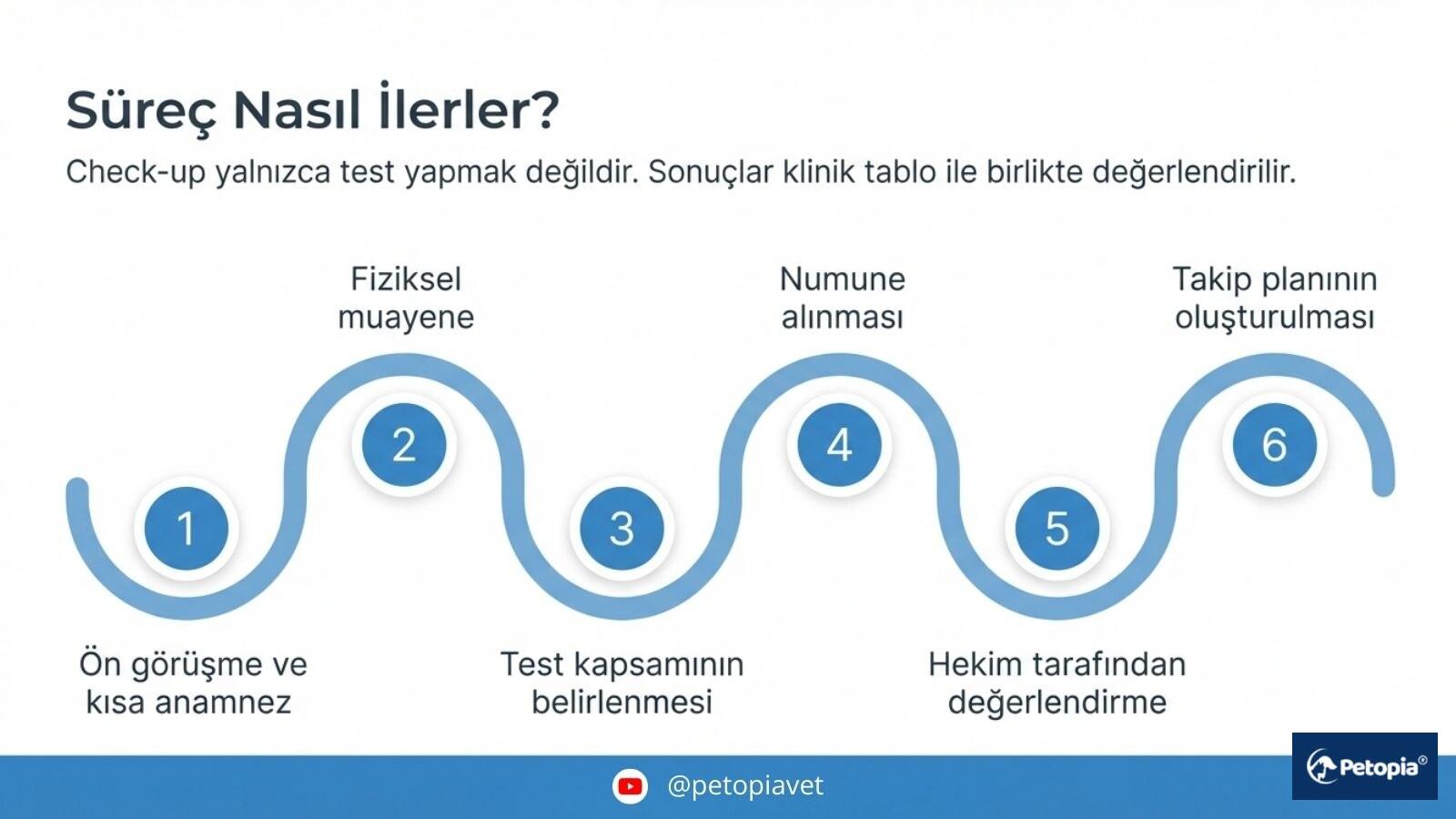 veteriner-check-up-sureci-nasil-ilerler