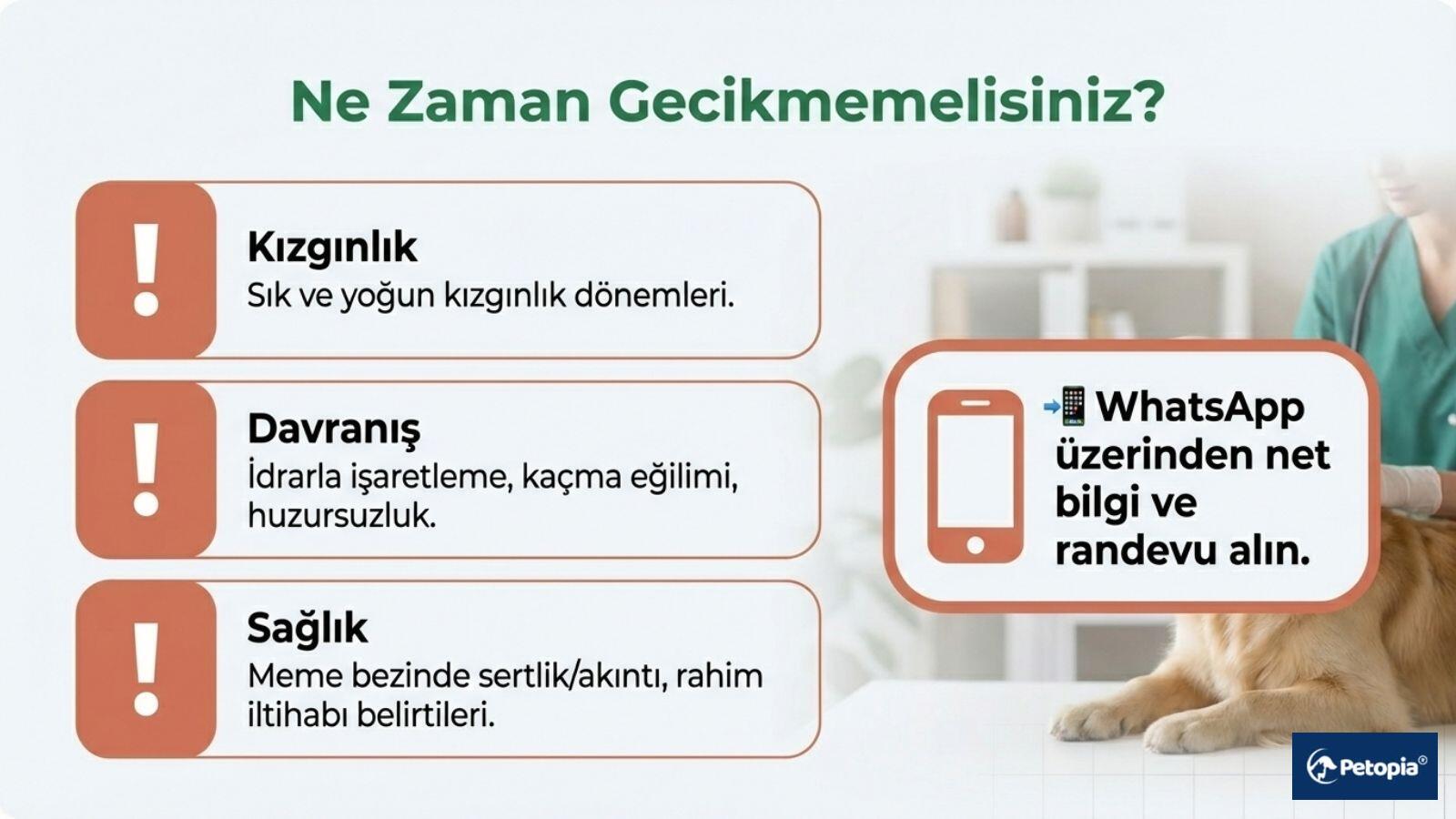 veterinere-ne-zaman-gecikmemelisiniz